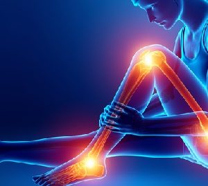 Exercise Rehabilitation for the Hip, Knee & Ankle Workshop